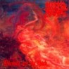 MORBID ANGEL - Blessed Are The Sick - LP