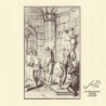 PARAGON IMPURE - Sade - AMBER LP