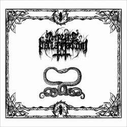 IMPURE DECLARATION - Mind Upheaval, Unclear Signs - CD