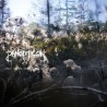 PANOPTICON - ...And Again Into The Light - DIGI CD
