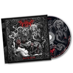 BRYMIR - Voices In The Sky - CD