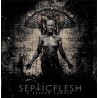SEPTICFLESH - A Fallen Temple - CD