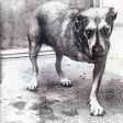ALICE IN CHAINS - Alice In Chains - CD