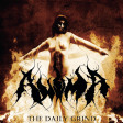 ANIMA - The Daily Grind - CD