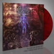 ARCHSPIRE - The Lucid Collective - LP