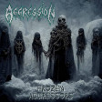 AGGRESSION - Frozen Aggressors - LP