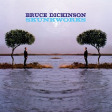 BRUCE DICKINSON - Skunkworks - CD