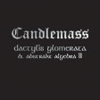 CANDLEMASS - Dactylis Glomerata & Abstrakt Algebra 2 - LP