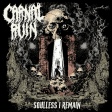 CARNAL RUIN - Soulless I Remain - CD