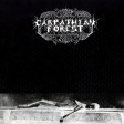 CARPATHIAN FOREST - Black Shining Leather - LP