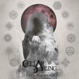 CELLAR DARLING - This Is The Sound - CD