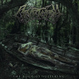 CRYPTOPSY - The Book Of Suffering - Tome II - DIGI CD