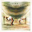 DARKANE - Expanding Senses - LP