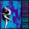GUNS N' ROSES - Use Your Illusion II - 2LP