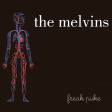 MELVINS - Freak Puke - CD