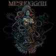 MESHUGGAH - The Violent Sleep Of Reason - CD