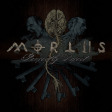 MORTIIS - Perfectly Defect - LP