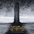 MORTIIS - The Shadow Of The Tower - LP