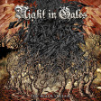 NIGHT IN GALES - The Black Stream - DIGI CD