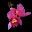 OPETH - Orchid - DIGI CD
