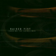 RAISED FIST - Ignoring The Guidelines - CD