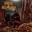 STAGES OF DECOMPOSITION - Piles Of Rotting Flesh - DIGI CD