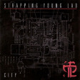 STRAPPING YOUNG LAD - City - CD