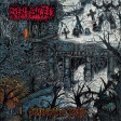 SENTENCED - Shadows Of The Past - LP