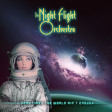 THE NIGHT FLIGHT ORCHESTRA - Sometimes The World Ain't Enough - CD