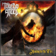 TOLEDO STEEL - Heading For The Fire - DIGI CD