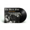 THE BLACK FURS - Doomed Blues - LP