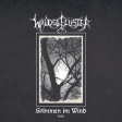 WALDGEFLÜSTER - Stimmen Im Wind 2020 - LP+CD