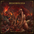 WEREWOLVES - What A Time To Be Alive - LP