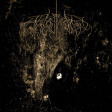 WOLVES IN THE THRONE ROOM - Two Hunters - CD