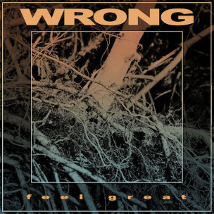 WRONG - Feel Great - CD