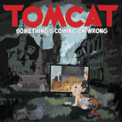 Tomcat Something's Coming On Wrong